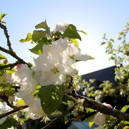 En Bord De Seine לינה וארוחת בוקר 3*