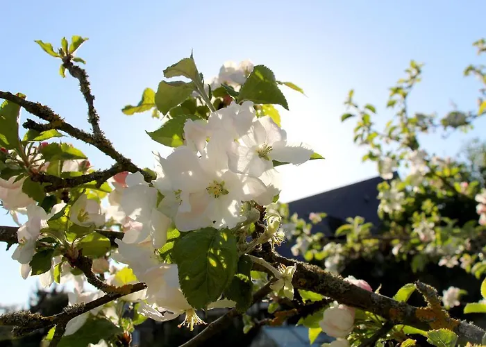 En Bord De Seine Oda ve Kahvaltı 3*